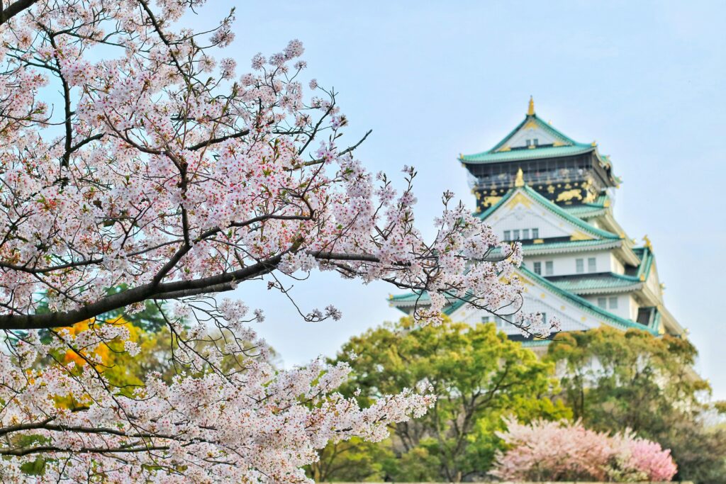 pexels-photo-1440476-1440476 Capture of Osaka Castle surrounded by beautiful cherry blossoms during spring. A stunning blend of nature and architecture.