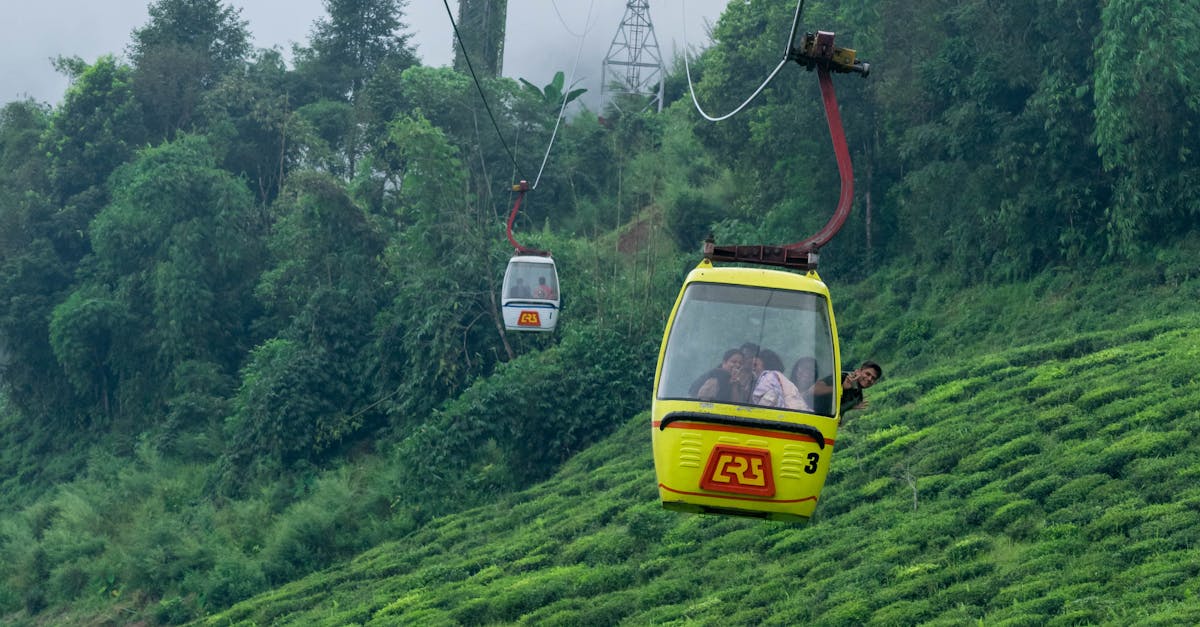 Darjeeling ropeway service over the tea gardens